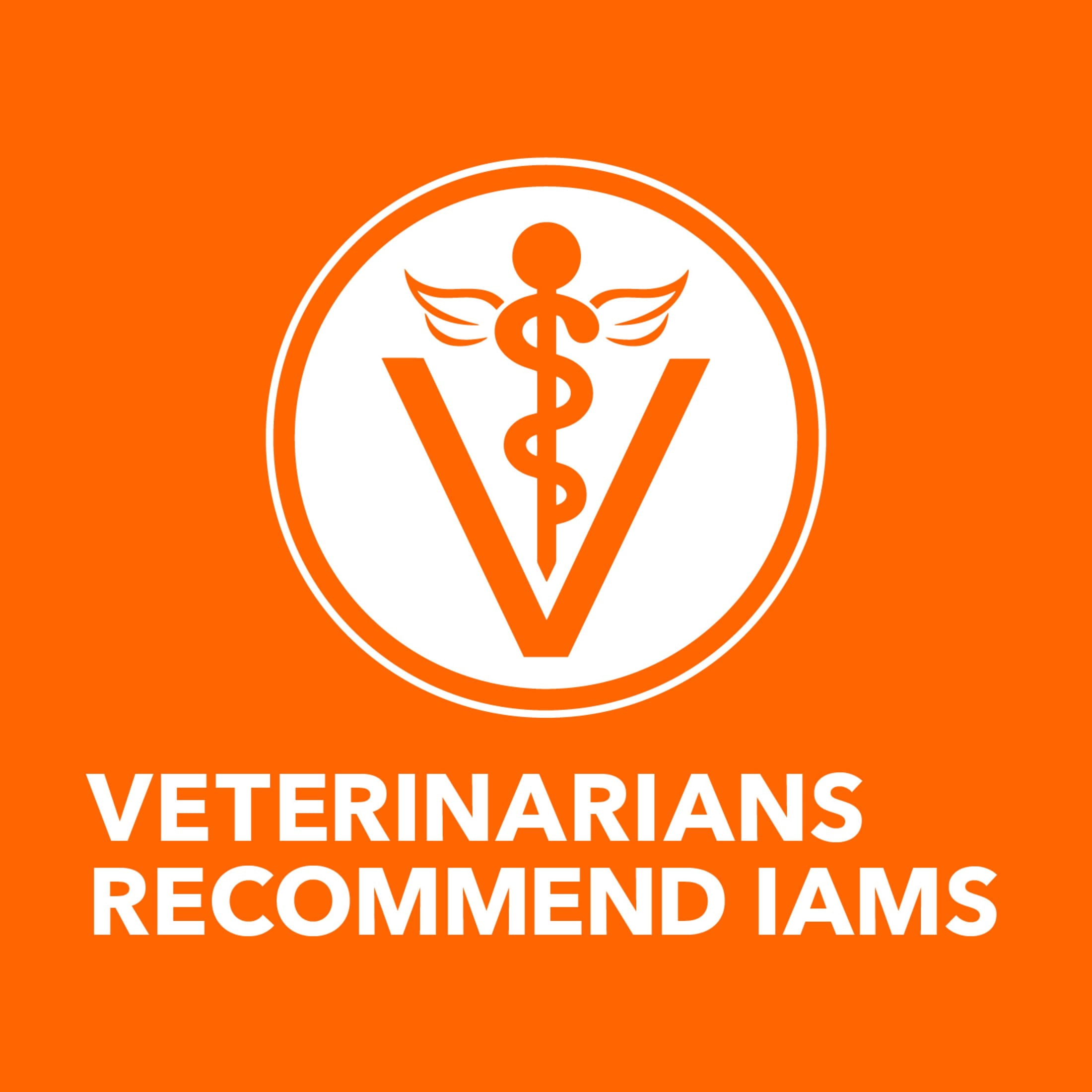 Iams Proactive Health Turkey Dry Cat Food, 3 Lb Bag