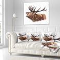 thumbnail image 3 of Designart Deer Head Illustration Art - Animal Throw Pillow - 18x18, 3 of 5
