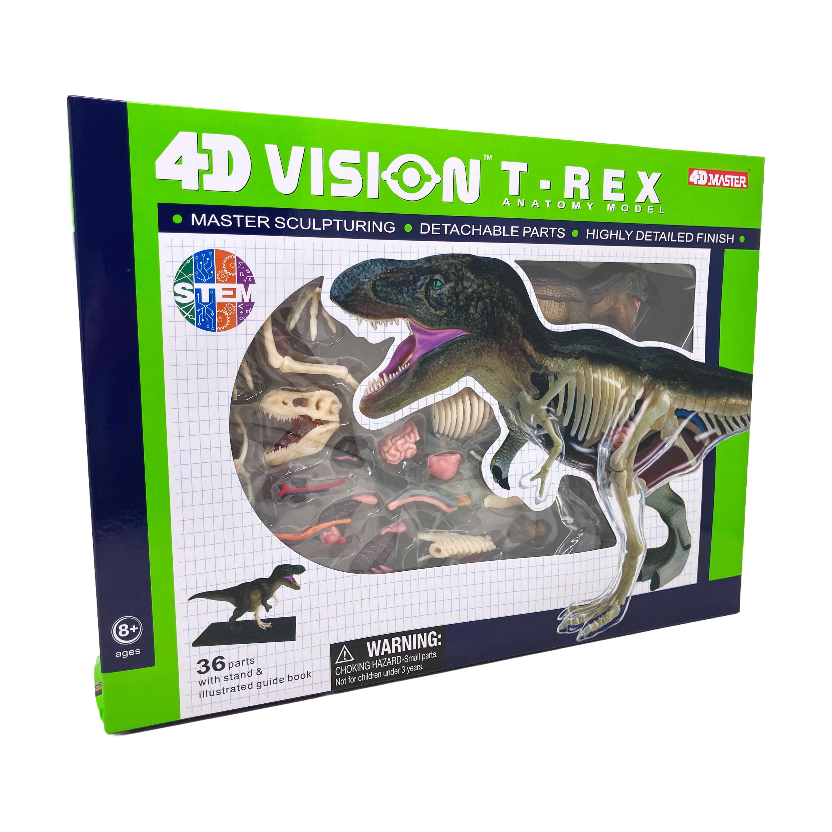 4D Master 4D Vision T-Rex Anatomy Model