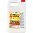 Spectracide Weed & Grass Killer Concentrate Spray, 1 Gallon for Patios