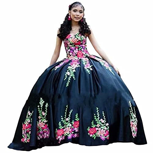 Quinceanera dresses puffy hot sale