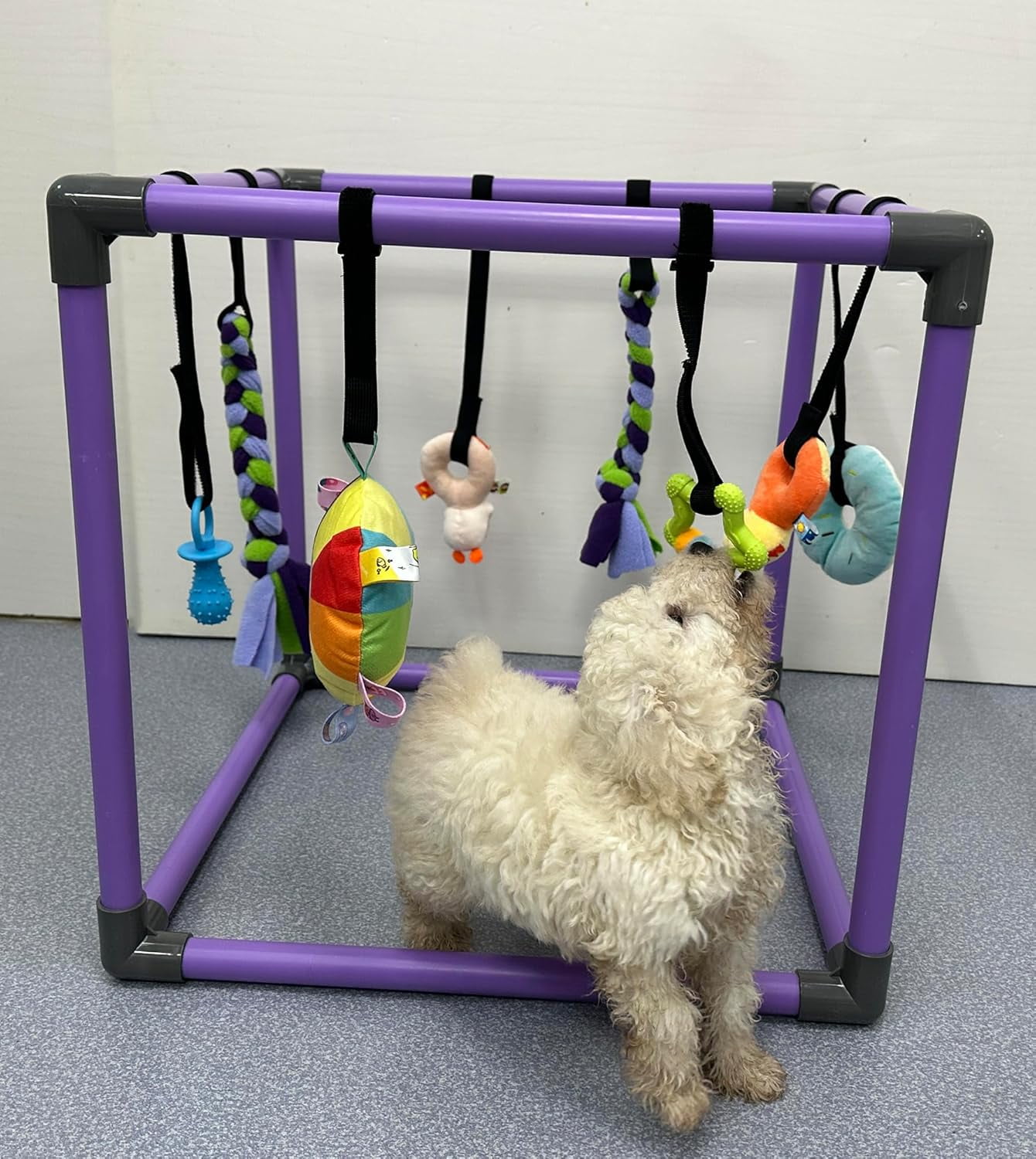 Afternoon Deals in Mason!