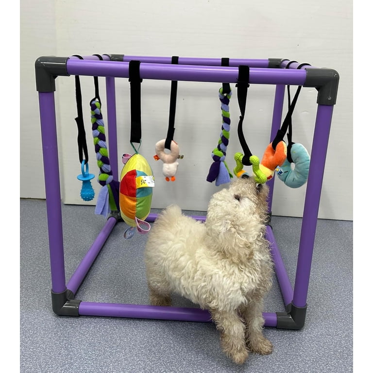 Puppy Play Gym for Small Dogs with 8 Hanging Toys, Jungle Playground with  Interactive Funny Enrichment Toys to Keep Them Busy - Walmart.com