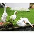 thumbnail image 3 of Outdoor Simulation Resin Duck Ornaments Courtyard Garden Pond Landscaping Decoration, 3 of 5