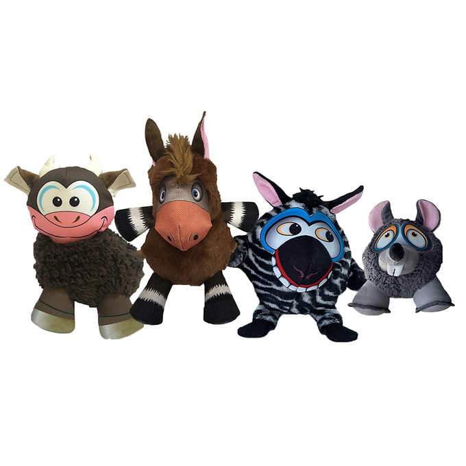 fennec fox chihuahua