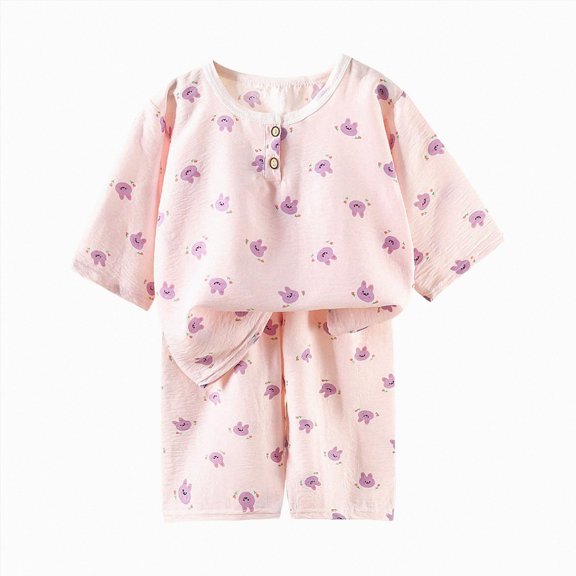 NIEWTR Baby Summer Outfits Children 2PC Summer Clothes Short Sleeve Pullover and Elastic Shorts Soft Pajamas Set for 6 12 18 24 Months 2T 3T Lightweight(A-Purple,4-5 Years)
