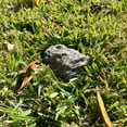 thumbnail image 5 of Hide-a-Spare-Key Fake Rock - Looks & Feels Like Real Stone - Safe for Outdoor Garden or Yard, Geocaching (Type A - Black), 5 of 6