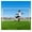 12 x 6 FT, variant on SONGMY Adjustable Portable Soccer Goal - 12x6/10x6.5/8x5 FT Backyard Soccer Net, Training Equipment for Kids Adults Practice