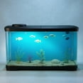 thumbnail image 2 of Aquarium avec Lumière – Mini Aquarium en Acrylique de 15L avec Couvercle à LED et Filtre, Kit de Démarrage de Bureau pour Betta, Crevettes et Poissons Rouges, 2 of 5