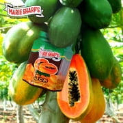 Jam - Papaya, 11 oz