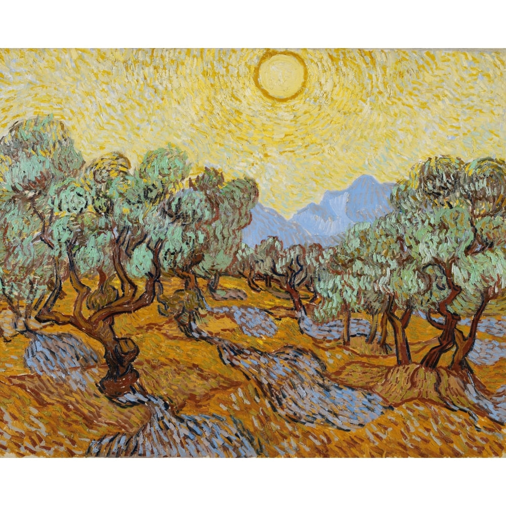 Van Gogh Olive Trees, 1889. /N'Olive Trees With Yellow Sky And Sun
