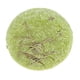 thumbnail image 3 of Champú con vegetal de 55g, jabón en barra, nutritivo para el cabello, hierbas naturales hechas a mano Té verde Yuyangstore Champú para el cabello hecho a mano, 3 of 8