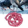 thumbnail image 4 of Bands 100Pcs 8mm  Leg Bands Aluminum Alloy Non Competition Recognizable Bird Leg Rings for Animal Training, 4 of 7