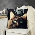thumbnail image 2 of Funny Cat Gifts, Black Cat Mom Gifts, Funny Quote It‚Äôs Not Cat Hair It‚Äôs Kitty Glitter Throw Pillow Cover, Cat Gifts for , Cat Gifts for Women,, 2 of 5
