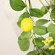thumbnail image 3 of Primavera y verano flor artificial rama larga colgante de pared de limón de tres puntas ANGGREK  Otros, 3 of 8