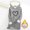 (Fashion 112)Gray, variant on Women's Plus Size Hooded Top for Fall Winter Thick Fleece-Lined Warm Base Layer Sweatshirt Loose Fit Long Sleeve Hooded Top