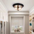 thumbnail image 2 of Depuley 13 Inch 2-Light Seeded Encloused Glass Ceiling Light with Clear Glass Shade Round Downlight for Entryway, Hallway, Bedroom, Porch, Kitchen, Living Room, 2 of 8