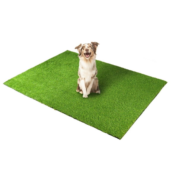 Superior Waterproof 5' x 7', Indoor/Outdoor Artificial Grass Area Rug, Synthetic Turf Rugs, Green