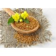 thumbnail image 2 of czcpp-Seeds White Mustard Vegetable Garden Heirloom for Planting Non GMO, 2 of 4