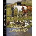 thumbnail image 1 of Follow the Sun: Robert Lougheed, 1 of 1
