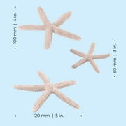 biOrb Natural Starfish Set