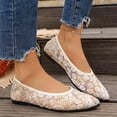 thumbnail image 5 of Samdudou Ballet Flats for Women Closed Toe Pointed Front Slip On Shoes Romantic Sheer Mesh Upper Delicate Floral Botanical Print Lightweight Breathable Summer Footwear, 5 of 9