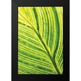 thumbnail image 2 of Berzel, Erin 11x14 Black Modern Framed Museum Art Print Titled - Leaf Detail III, 2 of 5