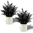 thumbnail image 1 of Set de 2 fundas para plantas artificiales de eucalipto negro de 24 cm de alto, 1 of 8