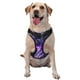 thumbnail image 1 of Fotbe Purple Pattern White Tiger Arnés para Perro con Estampado –Chaleco Ajustable Acolchado con Asa de Control para Perros Grandes-Large, 1 of 6