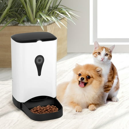 Gymax Automatic Pet Feeder For Dog Cat Food Dispenser Voice