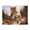 500 Pieces, variant on 500-Piece Wooden Jigsaw Puzzle for Adults & Families - Lynx Jumping Rocks Wild , Fun & Educational Brain-Teasing Game, Artistic Home Decor