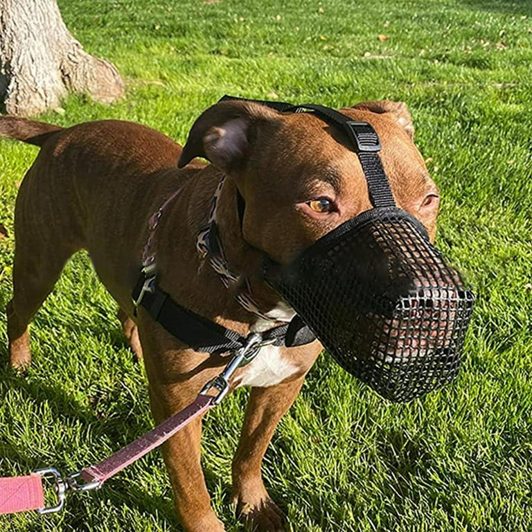 Tohuu Mesh Dog Muzzle Air Mesh Drinkable Pet Muzzle Lightweight Dog Muzzle to Prevent Eating Poop Anti Bark Muzzle for Large Medium Small Dogs fit Walmart