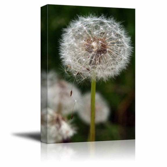 Canvas Prints Wall Art - Closeup of Dandelion Head in the Wind | Modern Wall Decor/Home Decor Stretched Gallery Canvas Wraps Giclee Print & Ready to Hang - 12" x 18"