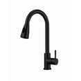 thumbnail image 1 of Grifo  Xtellar Cocina Monomando Extraíble Tarja Inoxidable Color Negro Mate, 1 of 5