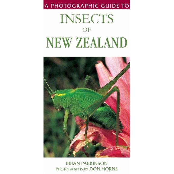 Photographic Guide to A Photographic Guide to Insects of New Zealand, (Paperback)