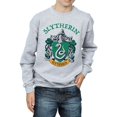 thumbnail image 3 of Harry Potter Boys Slytherin Crest Sweatshirt, 3 of 6