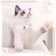 thumbnail image 5 of KAIYANG Collar de boda con encaje y cascabel para mascotas, de piel sintética, suave y ajustable (blanco), 5 of 5