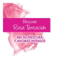 thumbnail image 4 of Desodorante antitranspirante Garnier Obao frescura rosa tentación para dama en aerosol 150 ml, 4 of 4