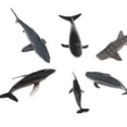 thumbnail image 3 of Paquete de 6 Figuras Animales Miniaturas Zulema, 3 of 5