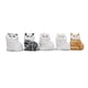 thumbnail image 1 of Gato De Compañía Interactivo ANGGREK Animal De Peluche Realista 5 Piezas, 1 of 7