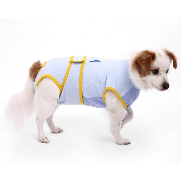 E collar best sale walmart