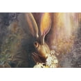 thumbnail image 2 of Lund, Denton 18x14 White Modern Wood Framed Museum Art Print Titled - By A Hare, 2 of 4