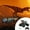 B, variant on Hearth & Gear Dinosaur Remote Control Car 2.4 Truck Toy For Toddlers Dinosaur Toy With Light Sound Spray Birthday For Boys 2 3 4 5 6 7 8 12 Anxiety for Teens Animals for Kids 3-5 Busy Busy Town Board