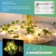 thumbnail image 3 of Guirnalda de luces LED de hiedra artificial de 2 m con 20 luces LED, guirnalda de luces colgantes para interiores, bodas, oficinas y fiestas., 3 of 5