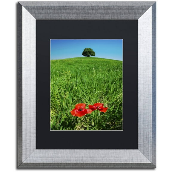 Trademark Fine Art 'Red Poppies and Oak' Canvas Art by Michael Blanchette Photography, Black Matte, Silver Frame