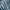 Blue Palm, variant on Better Homes & Gardens 100% Cotton Beach Life Multi, 2 Yard Precut Fabric
