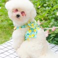 thumbnail image 4 of Summer Pet Dress - Breathable Mesh Fabric Stylish Harness Leash Set for Small Dogs & Cats, 4 of 8