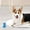 Blue, variant on TPR Bone Dog Chew Toys, Indestructible Teething Toy for Aggressive Chewers, Dental Cleaning Toy for Medium & Large Dogs