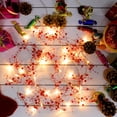 thumbnail image 4 of Navidad con cuentas Guirnalda String Light 6.56FT 20 LED Perla Berry Bead Luz festiva de Navidad para interiores al aire libre Navidad Otoño Fiesta de cumpleaños Boda DIY Home Mantel Decoración (Rojo) brillar Electrónica, 4 of 6