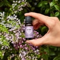 thumbnail image 2 of Edens Garden Lavender Around The World Essential Oil- 100% Pure Premium Grade, Undiluted, Natural, Therapeutic, Aromatherapy, The Best for Diffuser, Skin, Face, Candle 30 ml (1 fl oz), 2 of 8